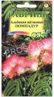 Альбиция шелковая Помпадур