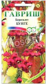 Бересклет Бунге