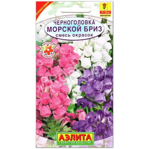 Черноголовка Морской бриз, смесь