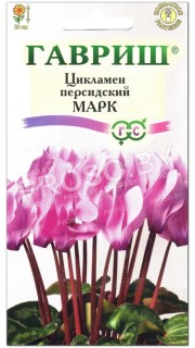 Цикламен персидский Марк