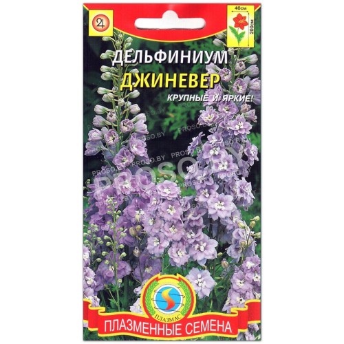 Дельфиниум Джиневер