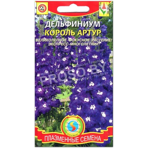 Дельфиниум Король артур