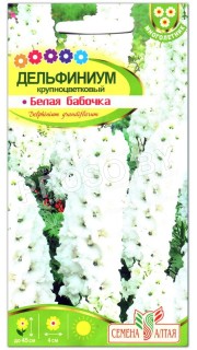 Дельфиниум Белая бабочка