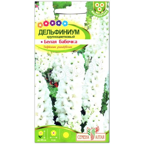 Дельфиниум Белая бабочка