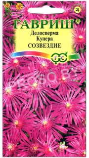 Делосперма Купера созвездие