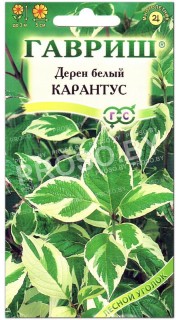 Дерен белый Карантус