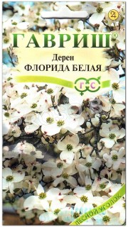 Дерен Флорида белая
