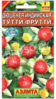 Дюшенея индийская Тутти фрутти