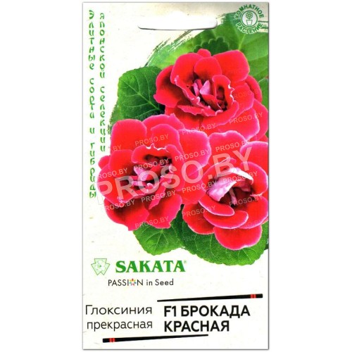 Глоксиния Брокада красная F1