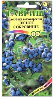 Голубика высокорослая Лесное сокровище