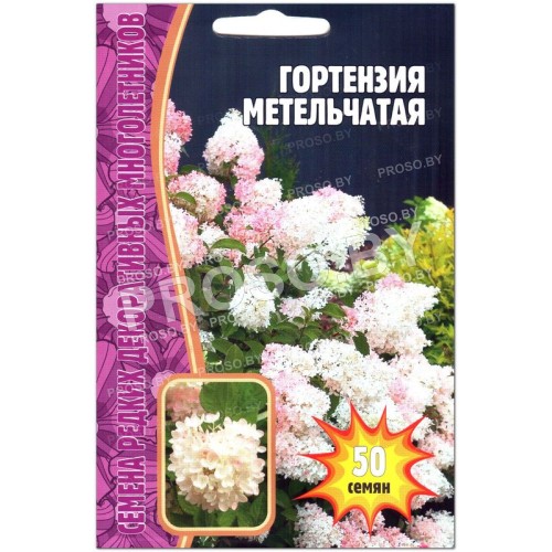 Гортензия Метельчатая