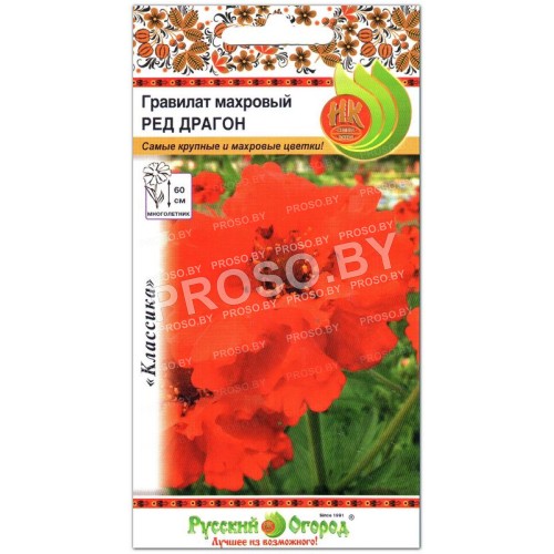 Гравилат махровый Ред Драгон