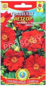 Гравилат Метеор