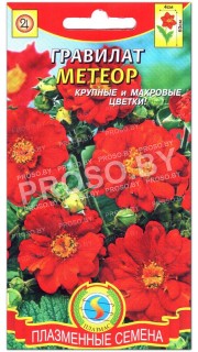 Гравилат Метеор
