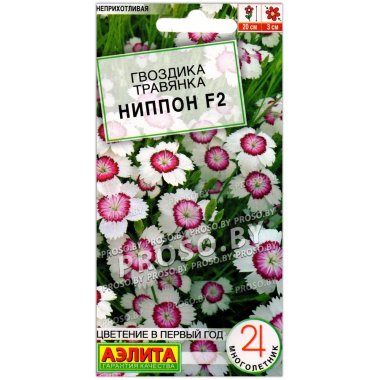 Гвоздика травянка Ниппон F2