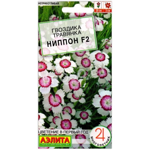 Гвоздика травянка Ниппон F2