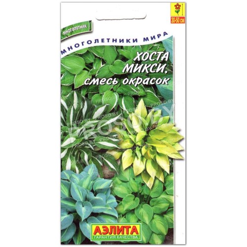 Хоста Микси, смесь