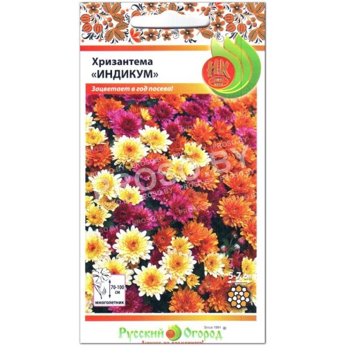Хризантема Индикум, смесь