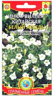 Инкарвиллея китайская Белый лебедь