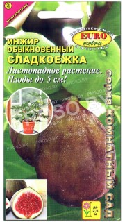 Инжир обыкновенный Сладкоежка