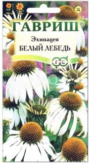 Эхинацея Белый лебедь