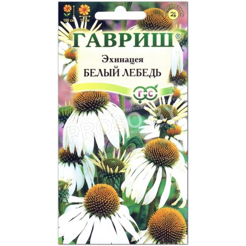 Эхинацея Белый лебедь