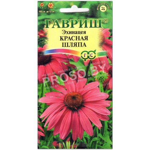 Эхинацея Красная шляпа