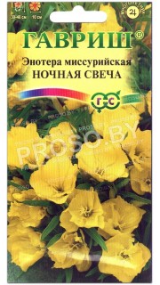 Энотера миссурийская Ночная свеча