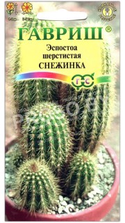 Эспостоа шерстистая Снежинка