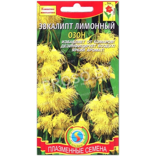 Эвкалипт лимонный Озон-2