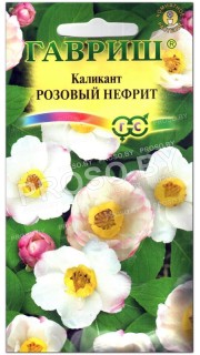 Каликант Розовый нефрит