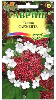 Калина Саржента