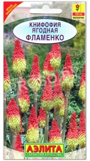 Книфофия ягодная Фламенко