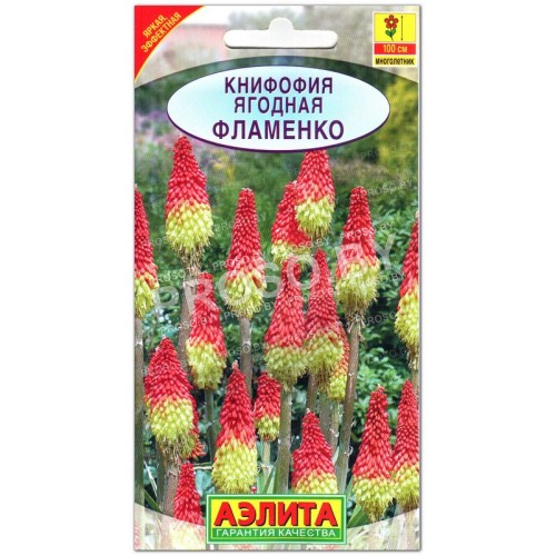 Книфофия ягодная Фламенко