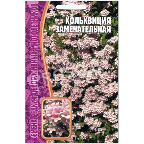Кольквиция Замечательная