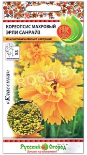 Кореопсис Эрли Санрайз