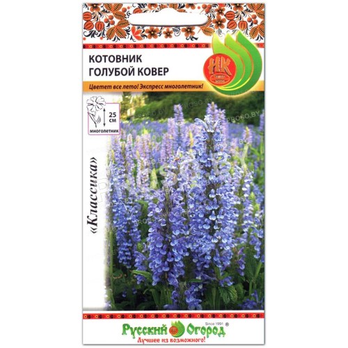 Котовник Голубой ковер