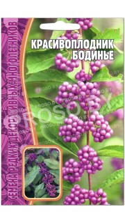 Красивоплодник Бодинье