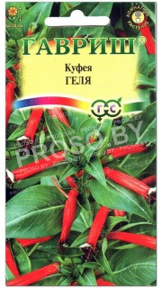 Куфея Геля
