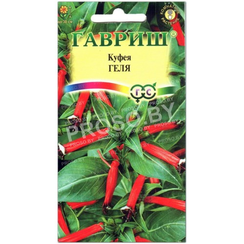 Куфея Геля