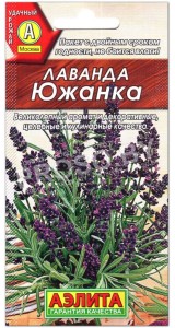 Лаванда Южанка