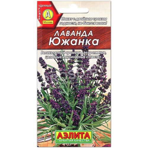 Лаванда Южанка