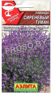 Лаванда Сиреневый туман