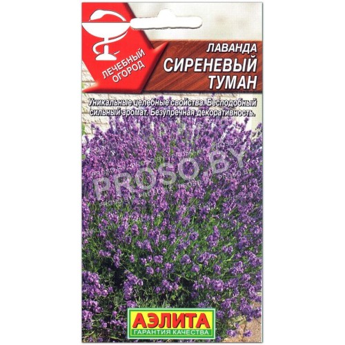Лаванда Сиреневый туман