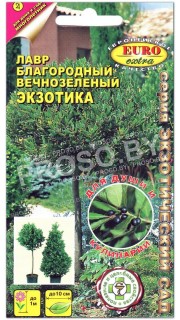 Лавр благородный вечнозеленая Экзотика