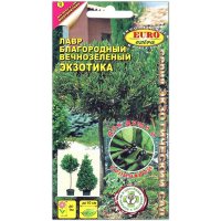 Лавр благородный вечнозеленая Экзотика