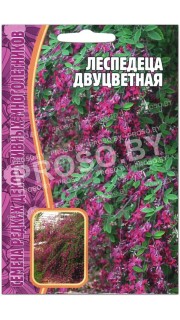 Леспедеца Двуцветная