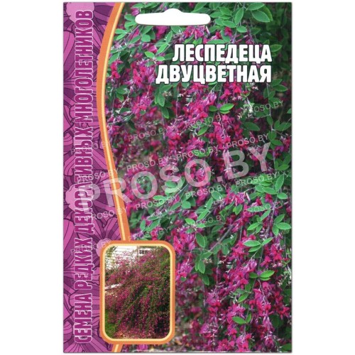 Леспедеца Двуцветная