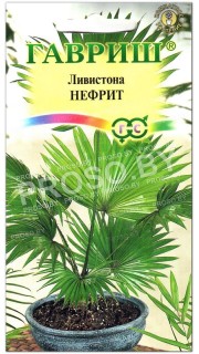 Ливистона Нефрит