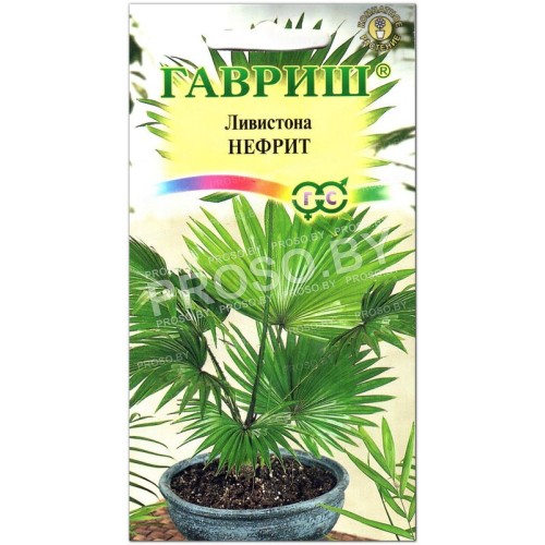 Ливистона Нефрит